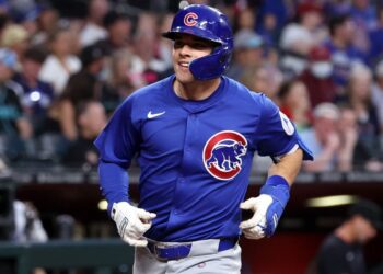 Cub Tracks: Nail-Biting Game Analysis