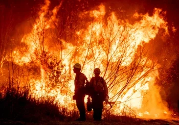 Support Those Impacted by LA County Fires