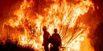 Support Those Impacted by LA County Fires 18 Support Those Impacted by LA County Fires