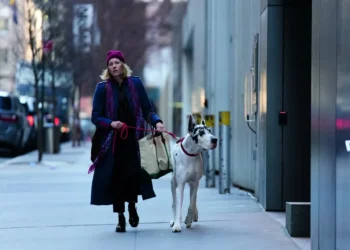 The Friend: Voices Against Dog Parent Obsession