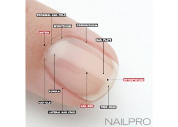 Nails & Beauty Magazine Hubs