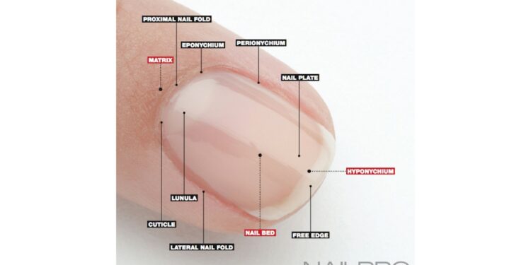 Nails & Beauty Magazine Hubs