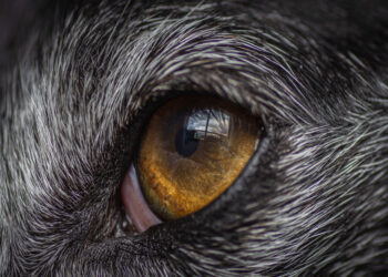 Nails & Beauty Magazine Hubs