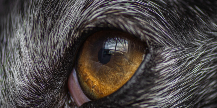 Nails & Beauty Magazine Hubs