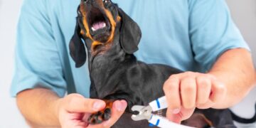 Nails & Beauty Magazine Hubs