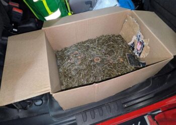 Nails & Beauty Magazine Hubs