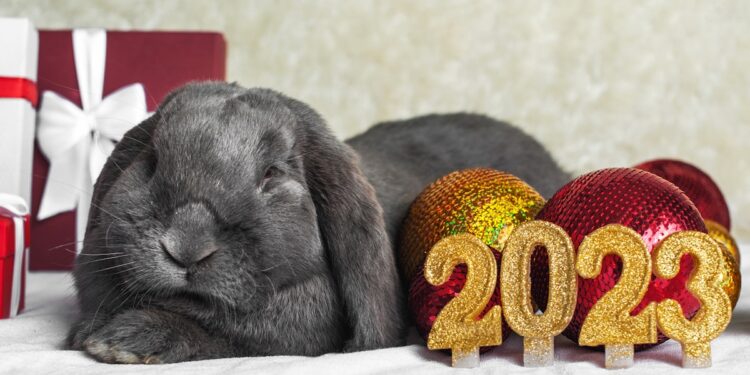 Submit Your Rabbit Nail Art for Lunar New Year 14 Nails & Beauty Magazine Hubs