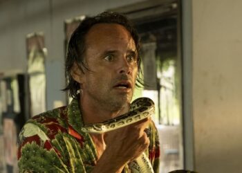 Nails & Beauty Magazine Hubs