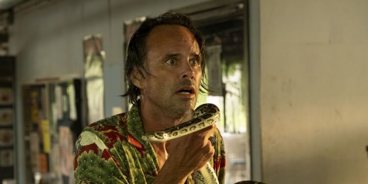 Nails & Beauty Magazine Hubs