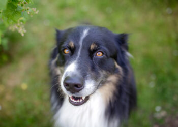 Nails & Beauty Magazine Hubs