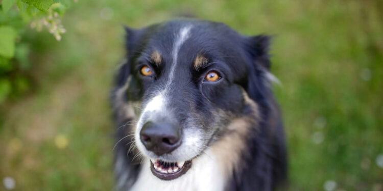 Nails & Beauty Magazine Hubs