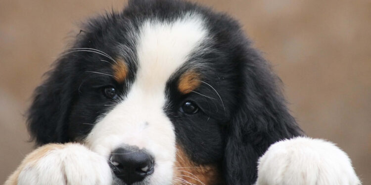 Nails & Beauty Magazine Hubs