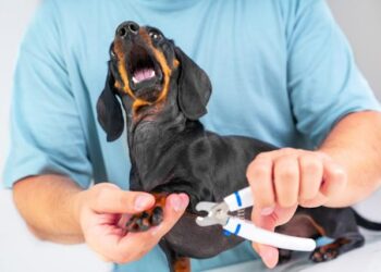 Nails & Beauty Magazine Hubs