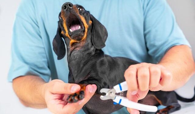 Nails & Beauty Magazine Hubs